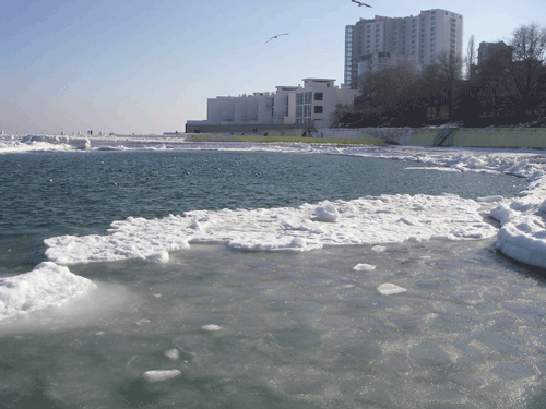 Тающее Черное море, февраль 2012 הים השחור הנמס